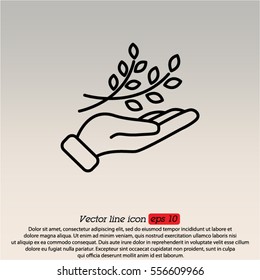 Web line icon. A branch in the hand