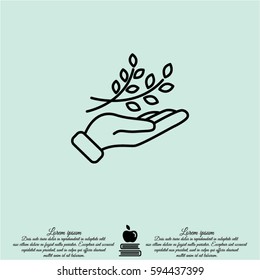 Web line icon. A branch in the hand