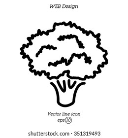 Web line icon. Broccoli