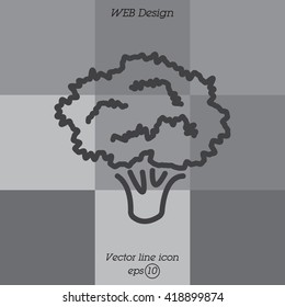 Web line icon. Broccoli