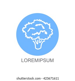 Web line icon. Broccoli