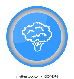 Web line icon. Broccoli