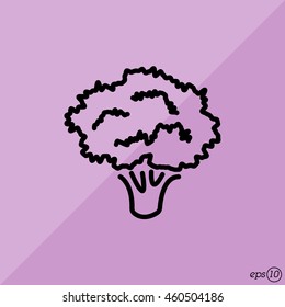 Web line icon. Broccoli