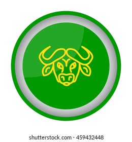 Web line icon. Buffalo; wild animals