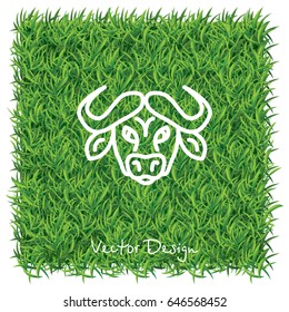 Web line icon. Buffalo; wild animals