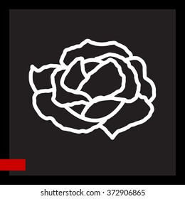 Web line icon. Cabbage