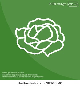 Web line icon. Cabbage
