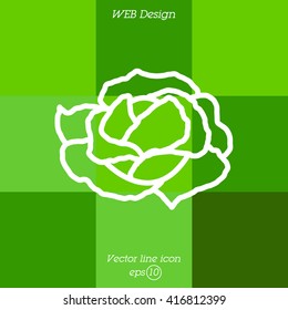 Web line icon. Cabbage