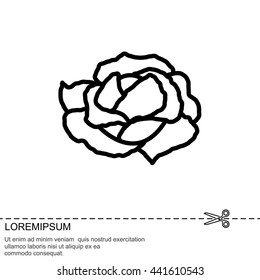 Web line icon. Cabbage