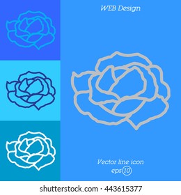 Web line icon. Cabbage