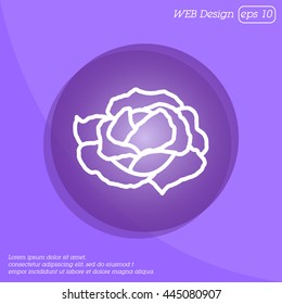 Web line icon. Cabbage