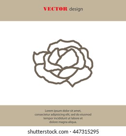 Web line icon. Cabbage