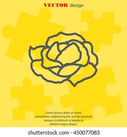 Web line icon. Cabbage