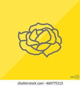 Web line icon. Cabbage