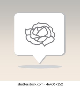 Web line icon. Cabbage