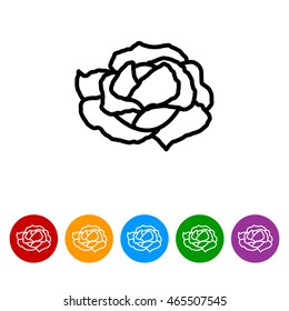 Web line icon. Cabbage