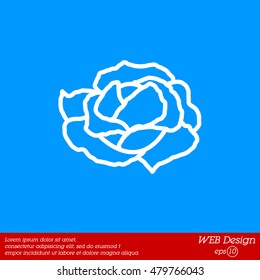 Web line icon. Cabbage