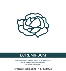 Web line icon. Cabbage