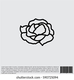 Web line icon. Cabbage