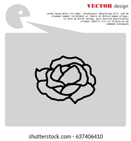 Web line icon. Cabbage