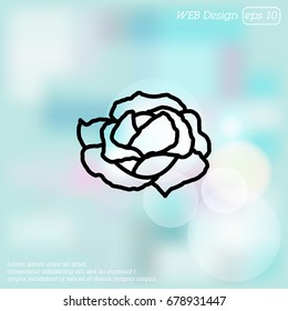 Web line icon. Cabbage