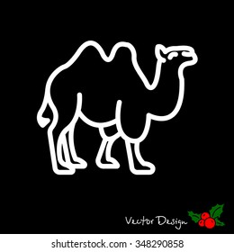 Web line icon. Camel; wild animals