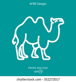 Web line icon. Camel; wild animals