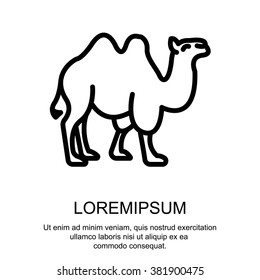 Web line icon. Camel; wild animals