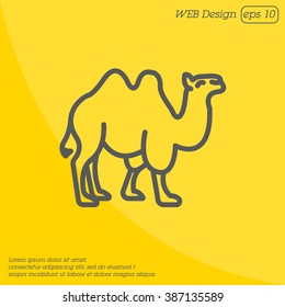 Web line icon. Camel; wild animals