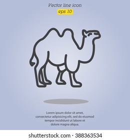 Web line icon. Camel; wild animals