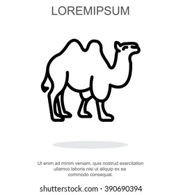 Web line icon. Camel; wild animals