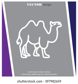 Web line icon. Camel; wild animals