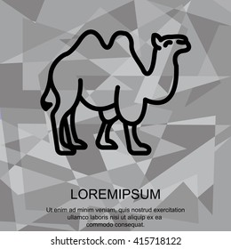 Web line icon. Camel; wild animals