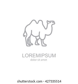 Web line icon. Camel; wild animals