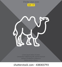 Web line icon. Camel; wild animals