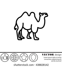 Web line icon. Camel; wild animals