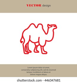 Web line icon. Camel; wild animals
