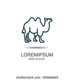 Web line icon. Camel; wild animals
