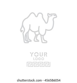 Web line icon. Camel; wild animals