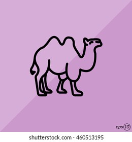 Web line icon. Camel; wild animals