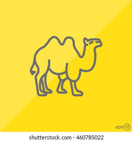 Web line icon. Camel; wild animals