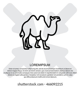 Web line icon. Camel; wild animals