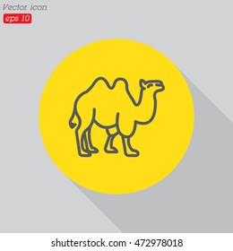 Web line icon. Camel; wild animals