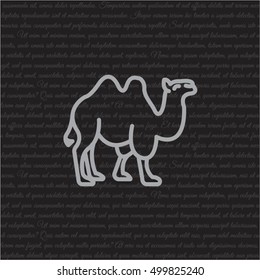 Web line icon. Camel; wild animals