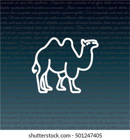 Web line icon. Camel; wild animals