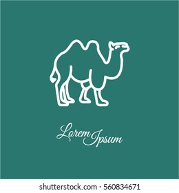 Web line icon. Camel; wild animals