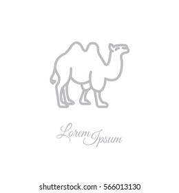 Web line icon. Camel; wild animals