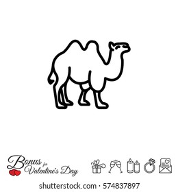 Web line icon. Camel; wild animals