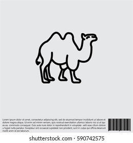 Web line icon. Camel; wild animals