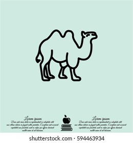 Web line icon. Camel; wild animals